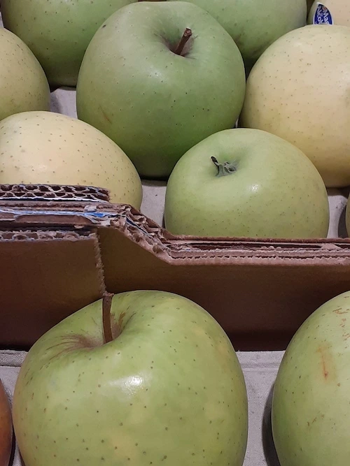 pommes rangées dans caisse en carton